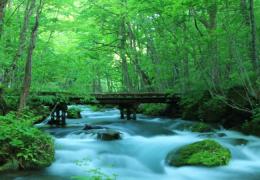 ◆長期派遣◆【青森県十和田市】 1月~ 時給3500円 週6日 小川原駅より車で20分